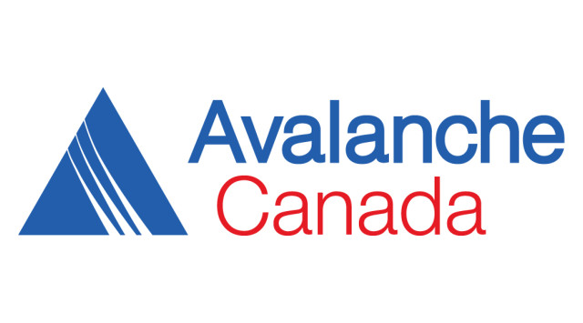 avi canada