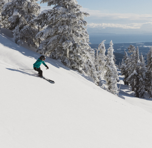 Nordic Center at Mt Washington