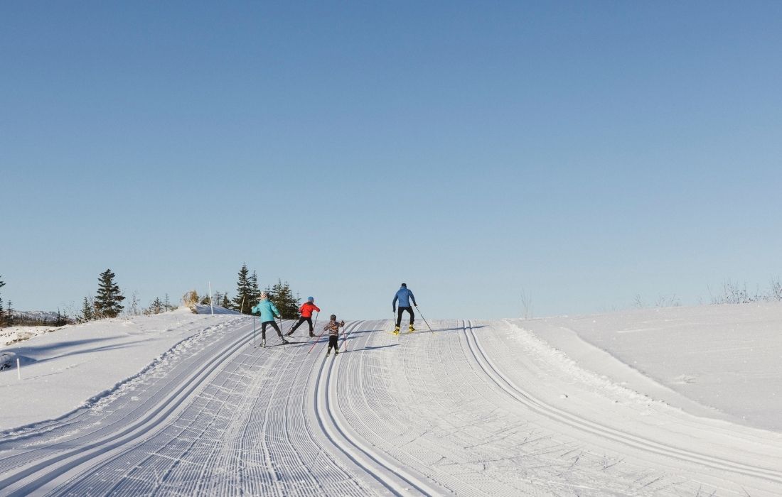 Nordic Conditions and Trail Information