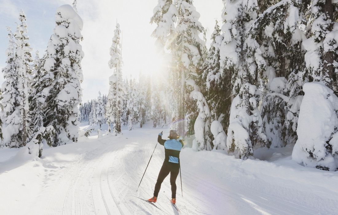 Nordic Center at Mt Washington events