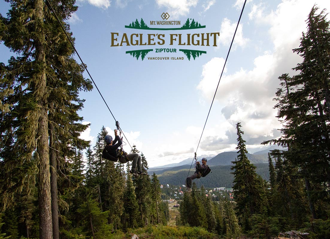Summer ZipTour