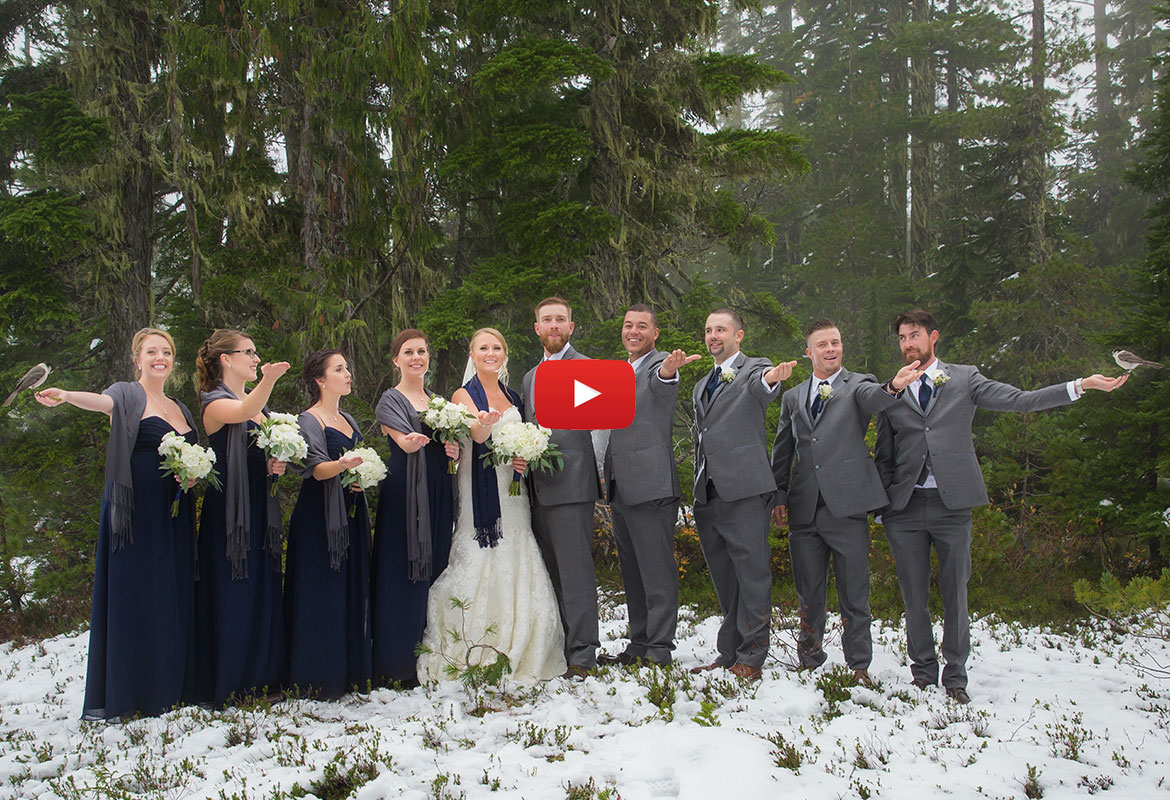 wedding-videolink.jpg