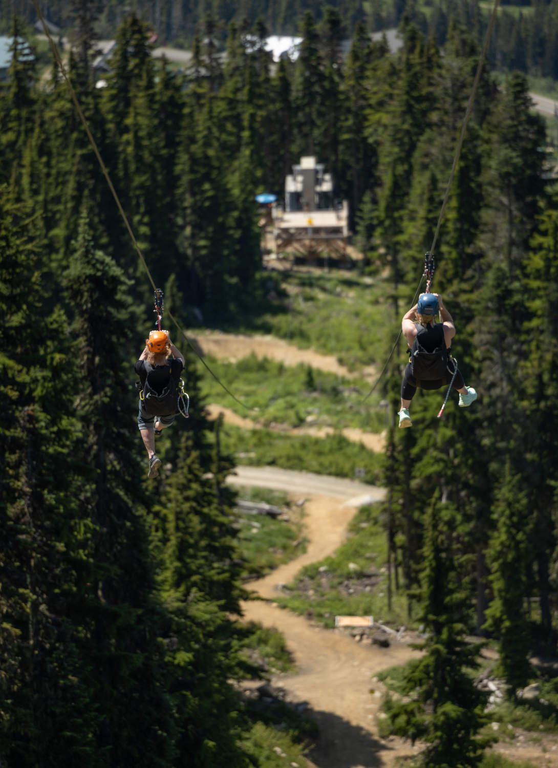 Rider on the Holy Hawk zipline at Mt. Washington