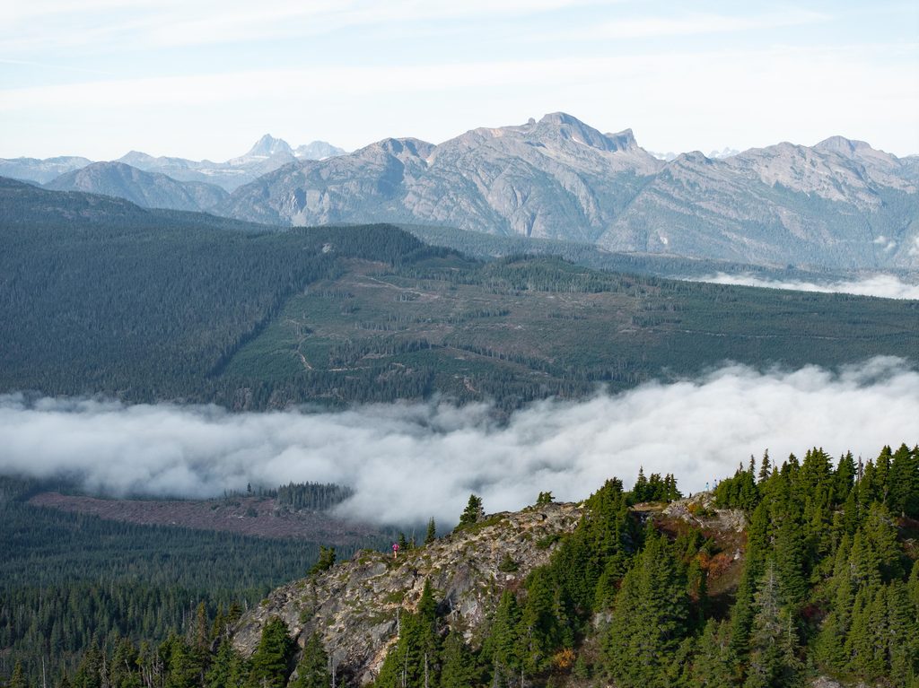 Alpine Vista from the top of Mount Washington.