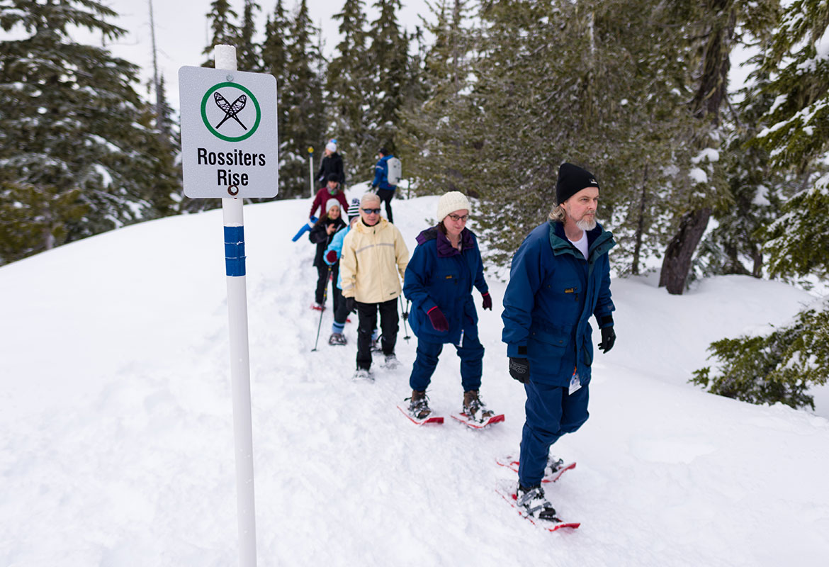 Alpine and Nordic groups at Mount Washington