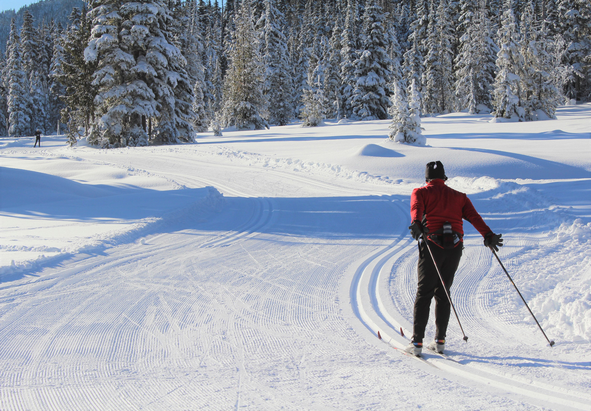 Cross-country skiing at the Nordic Centre