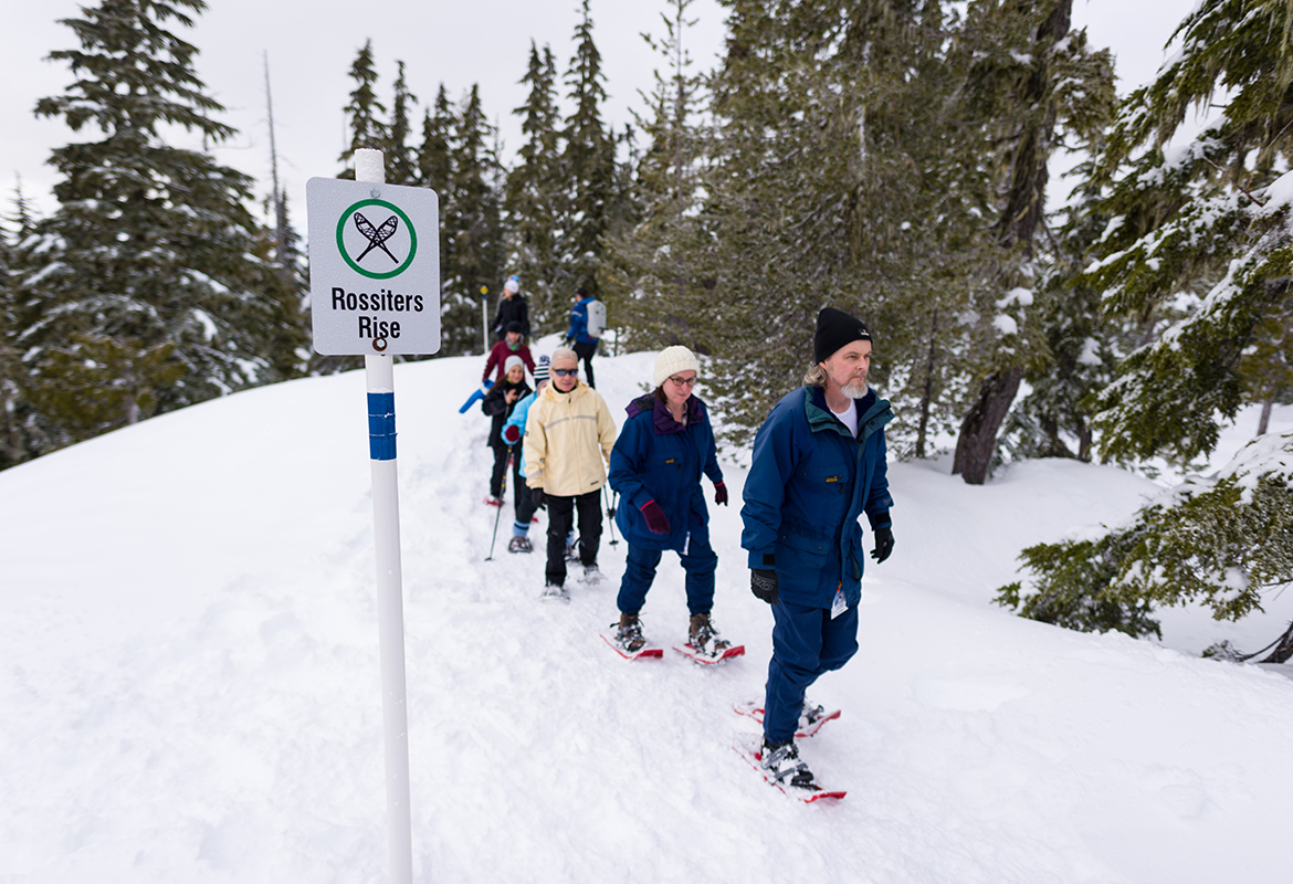 Guided snowshoe trek in Strathcona Park