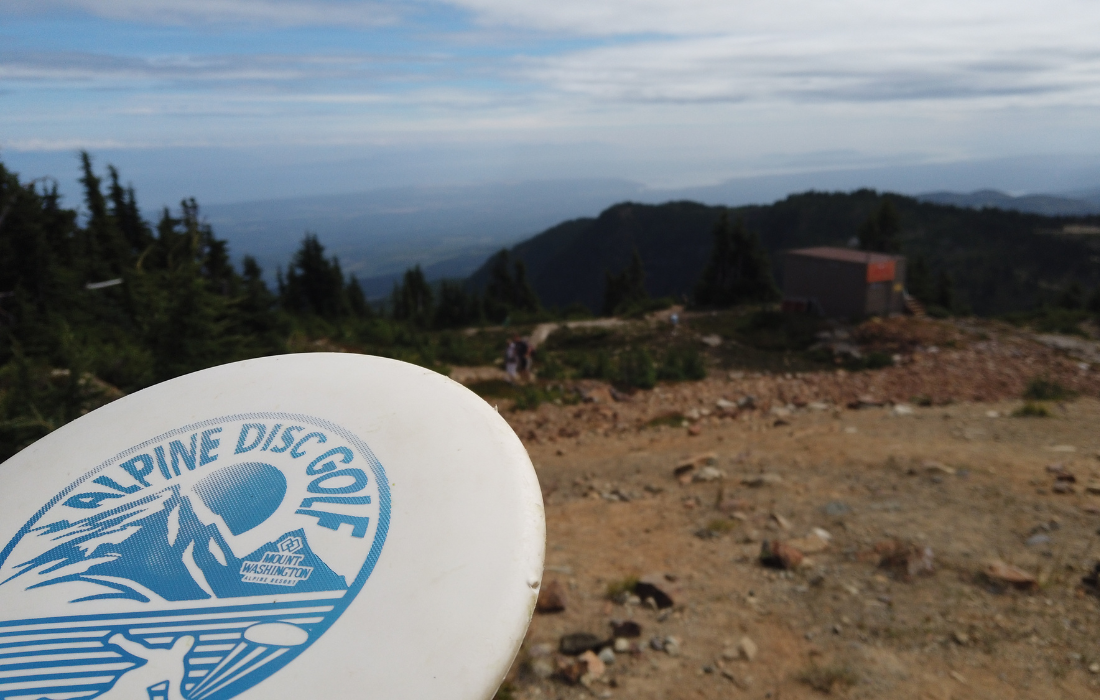 Disc Golf