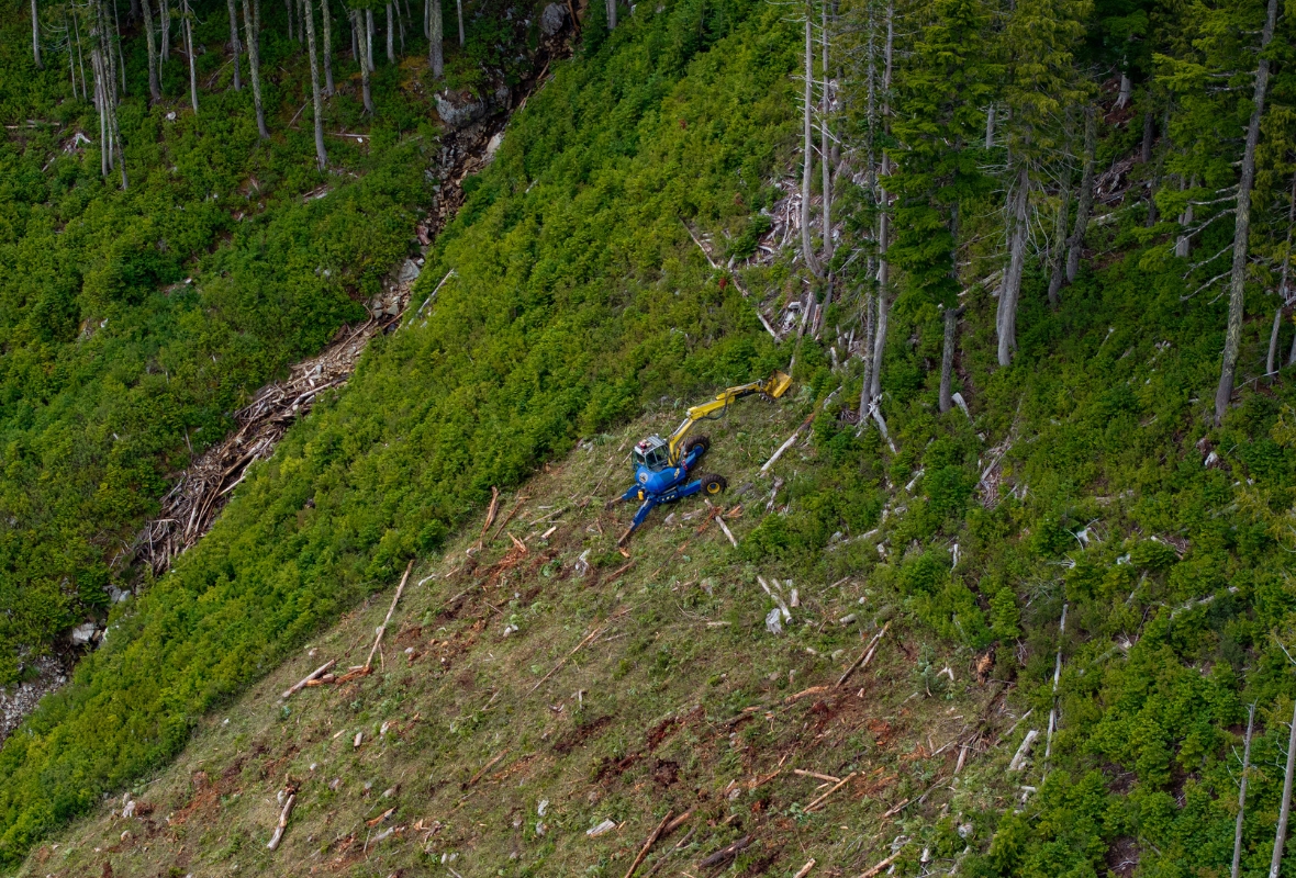 Image of The Boomerang Backside Terrain Brush Cutting