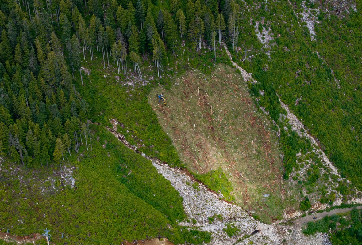 Image of The Boomerang Backside Terrain Brush Cutting