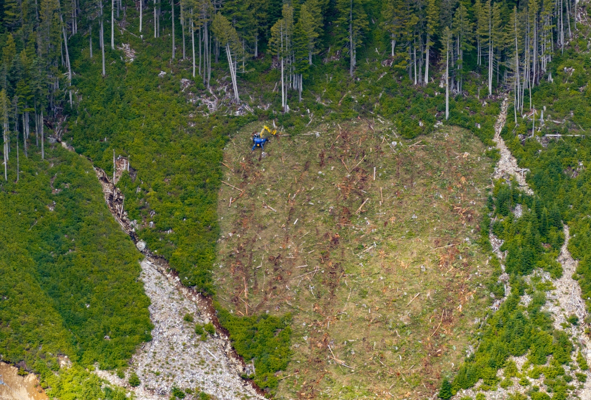 Image of The Boomerang Backside Terrain Brush Cutting
