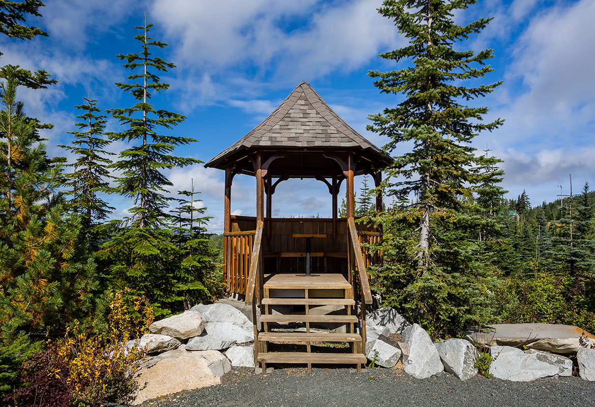 Raven Lodge wedding ceremony