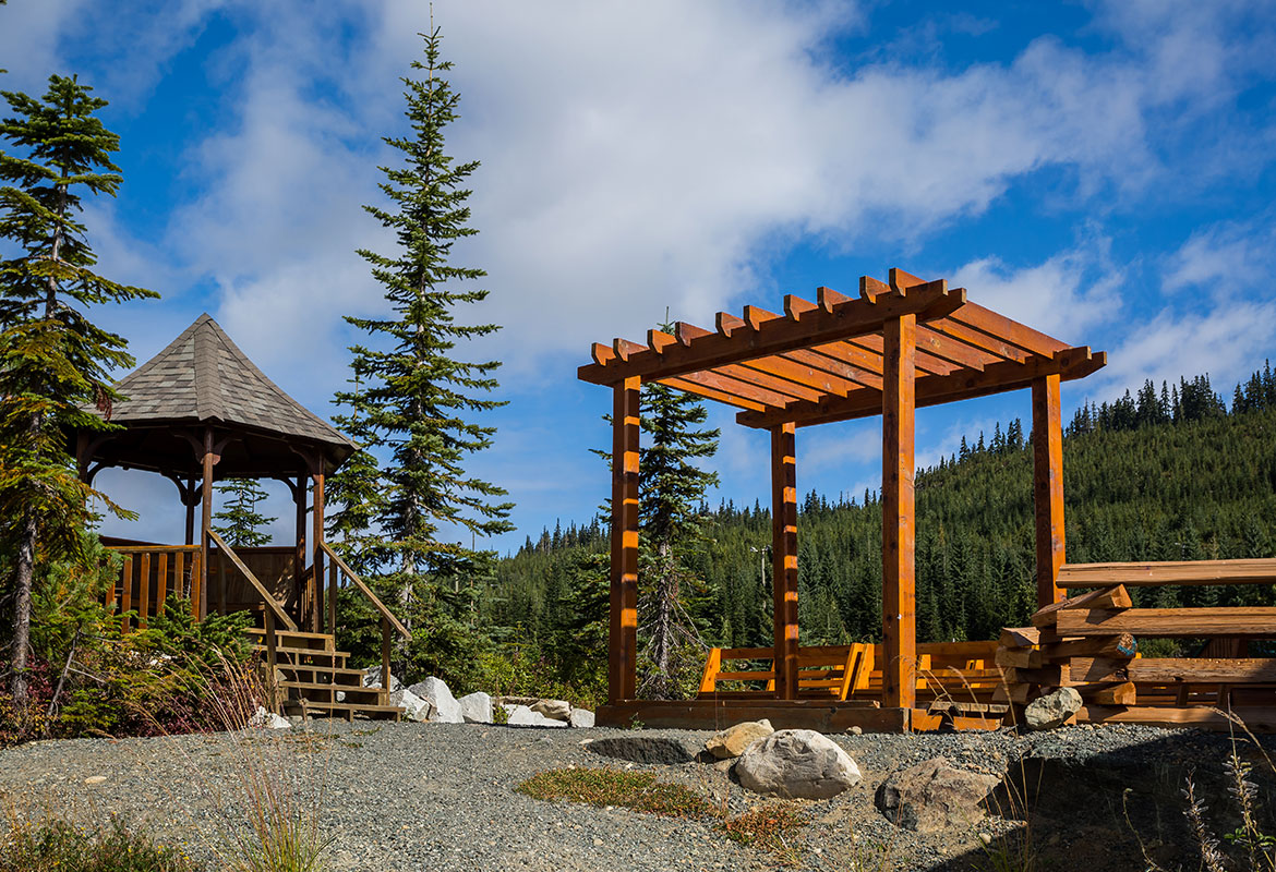 Raven Lodge wedding ceremony