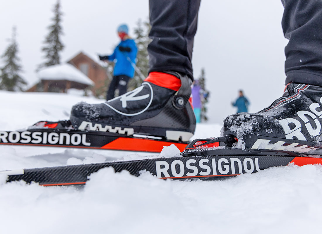Nordic skiing through the winter landscape