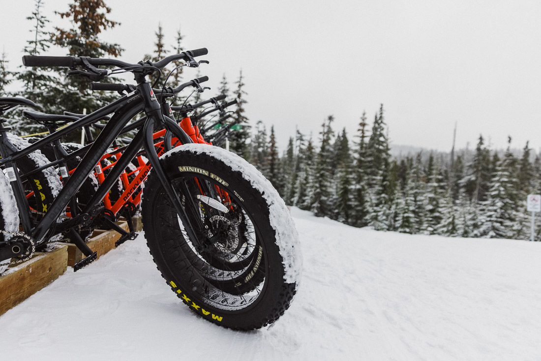 Rider on a fat-tire bike in the snow