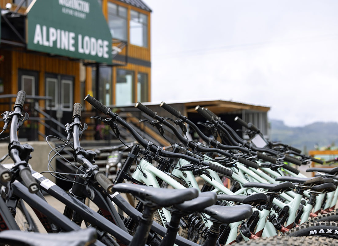 Bike rental